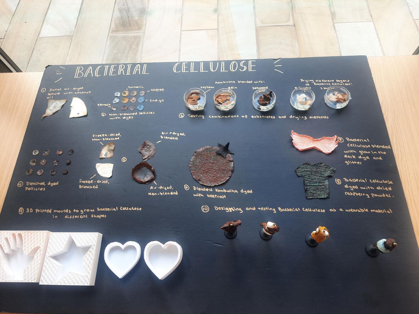 Black display board titled Bacterial Cellulose with ten numbered sample groups, from dyed and bleached pellicles to 3D-printed moulds and miniature dress forms