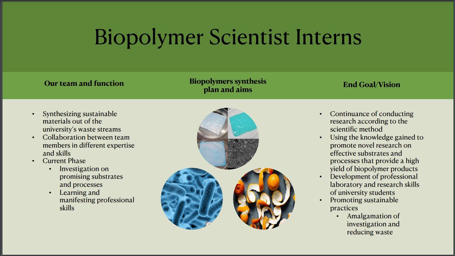 Presentation slide titled Biopolymer Scientist Interns with columns for team function, synthesis plan and end goal