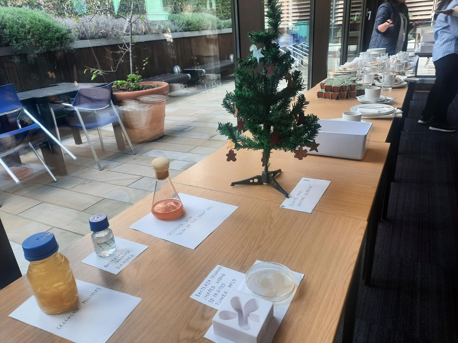 Table of labelled exhibits including a bottle of cellulose pellicles, a flask of pink medium, a 3D-printed mould and a small tree hung with cellulose decorations