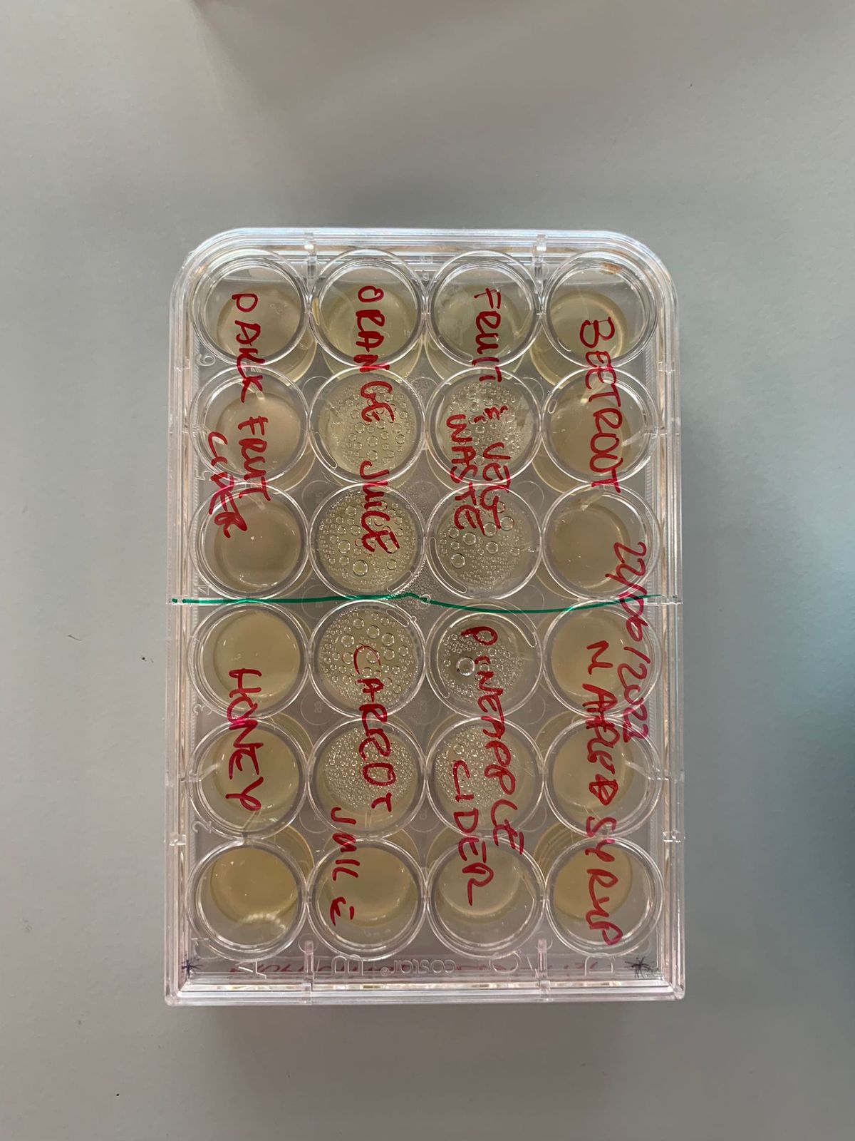 24-well plate labelled with substrates including dark fruit cider, orange juice, fruit and vegetable waste, beetroot, honey, carrot juice, pineapple cider and maple syrup