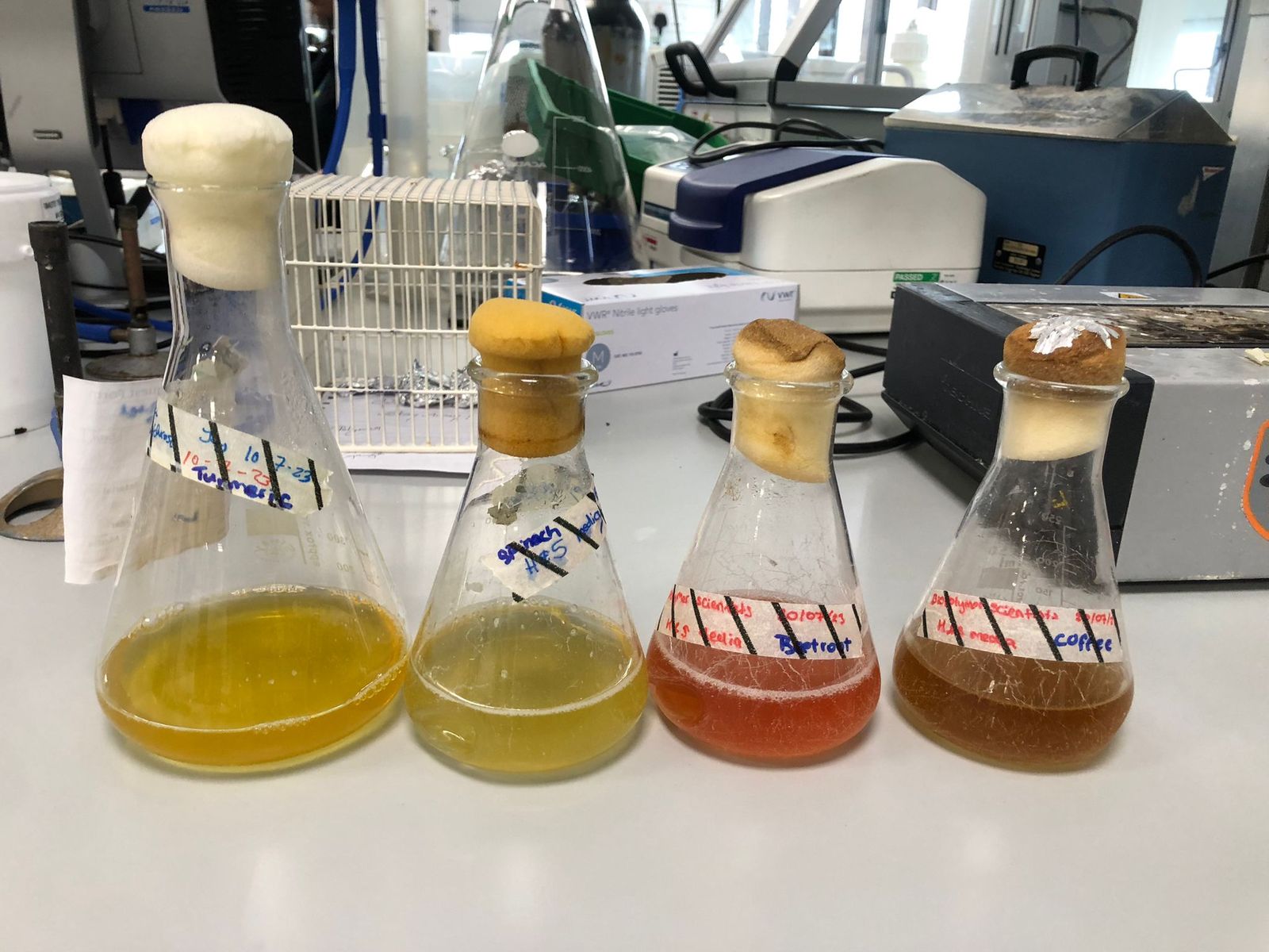Four conical flasks with yellow, pale green, red and brown culture media on a lab bench